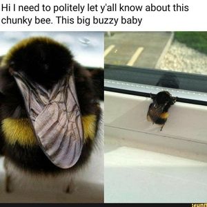 Meet your Posher, Bethanie